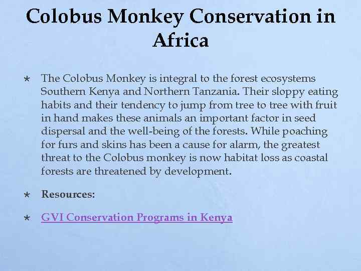Colobus Monkey Conservation in Africa The Colobus Monkey is integral to the forest ecosystems