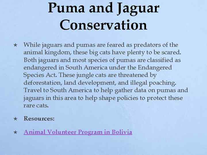 Puma and Jaguar Conservation While jaguars and pumas are feared as predators of the