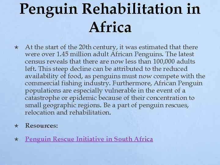 Penguin Rehabilitation in Africa At the start of the 20 th century, it was