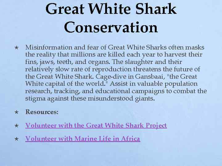 Great White Shark Conservation Misinformation and fear of Great White Sharks often masks the