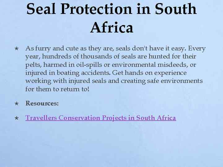 Seal Protection in South Africa As furry and cute as they are, seals don't