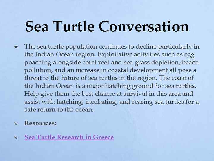 Sea Turtle Conversation The sea turtle population continues to decline particularly in the Indian