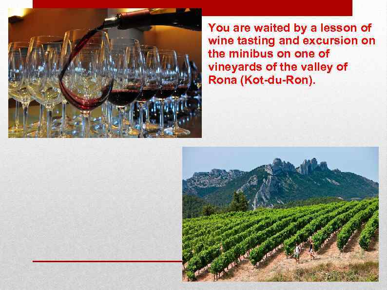 You are waited by a lesson of wine tasting and excursion on the minibus