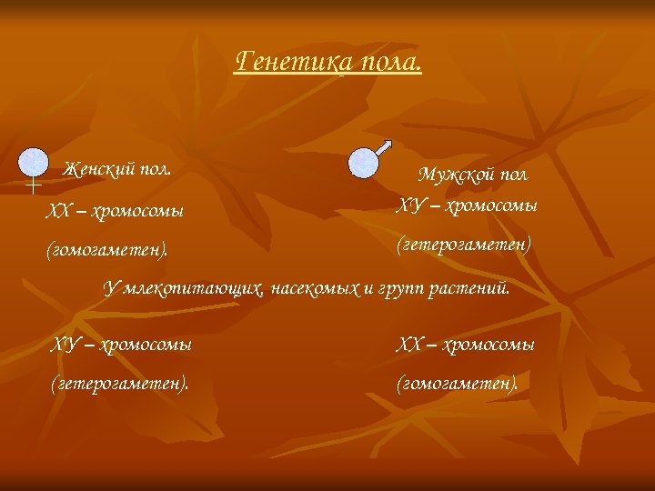Генетика пола. Женский пол. ХХ – хромосомы Мужской пол ХУ – хромосомы (гомогаметен). (гетерогаметен)