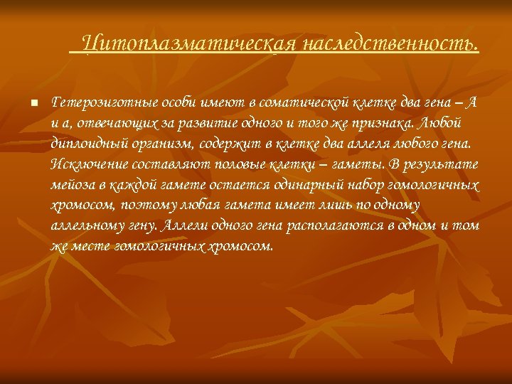 Цитоплазматическая наследственность. n Гетерозиготные особи имеют в соматической клетке два гена – А и