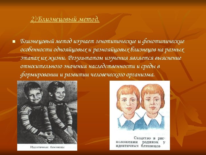 2) Близнецовый метод. n Близнецовый метод изучает генотипические и фенотипические особенности однояйцовых и разнояйцовых