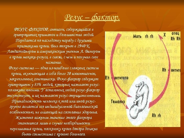Резус – фактор. РЕЗУС-ФАКТОР, антиген, содержащийся в эритроцитах приматов и большинства людей. Передается по