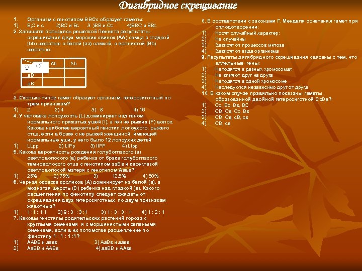 Сколько гамет образуется с генотипом ааввсс. Гаметы ААВВСС. Какие гаметы образует особь имеющая генотип ВВСС. Организм с генотипом ААВВСС образует гаметы. Организм с генотипом AABBCC образует гаметы.