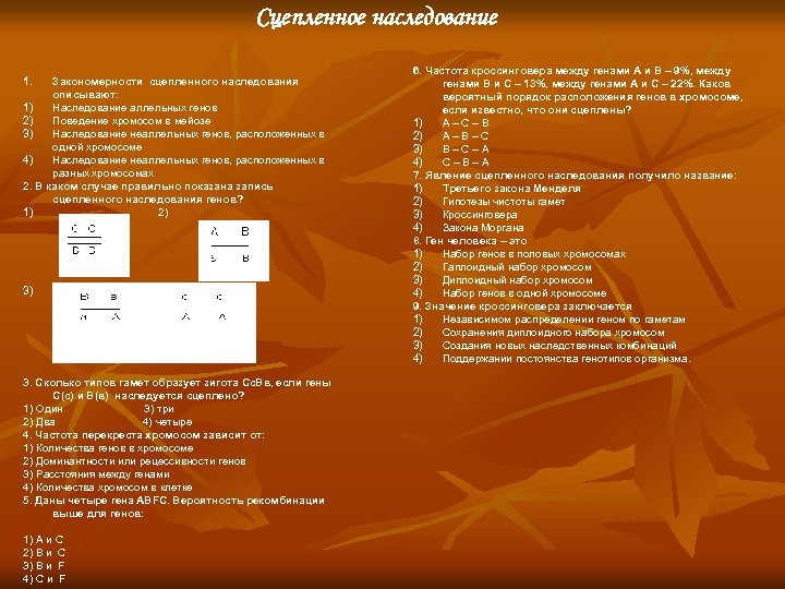 Сцепленное наследование 1. Закономерности сцепленного наследования описывают: 1) Наследование аллельных генов 2) Поведение хромосом