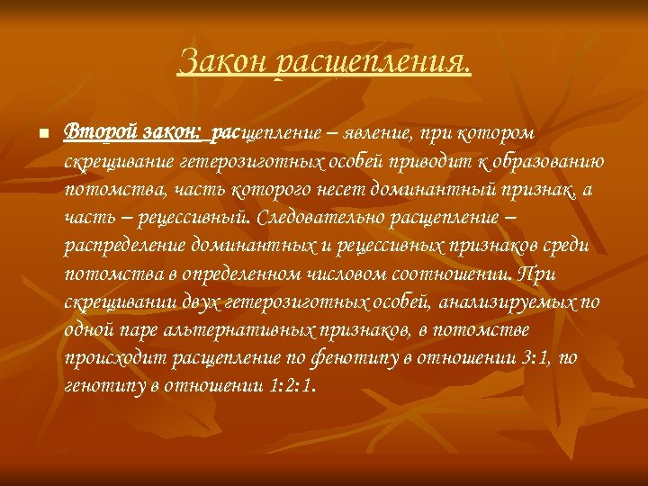Закон расщепления. n Второй закон: расщепление – явление, при котором скрещивание гетерозиготных особей приводит