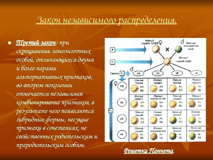 Закон независимого распределения