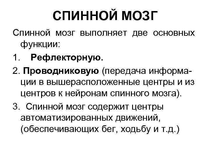 СПИННОЙ МОЗГ Спинной мозг выполняет две основных функции: 1. Рефлекторную. 2. Проводниковую (передача информации