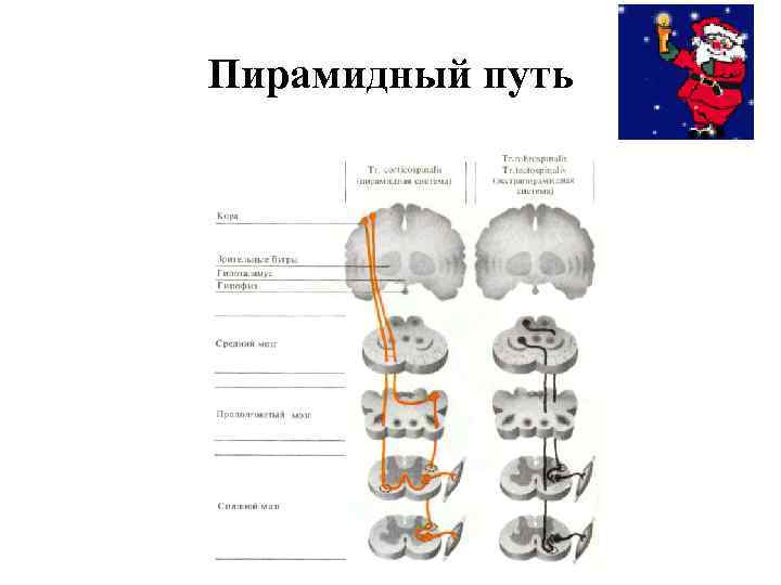 Пирамидный путь 