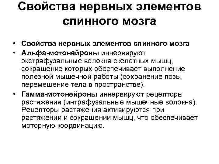 Свойства нервных элементов спинного мозга • Альфа-мотонейроны иннервируют экстрафузальные волокна скелетных мышц, сокращение которых