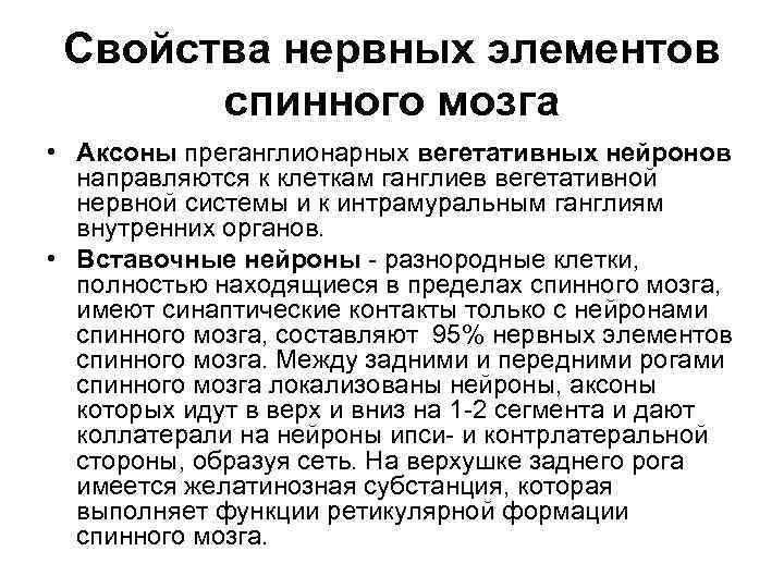 Свойства нервных элементов спинного мозга • Аксоны преганглионарных вегетативных нейронов направляются к клеткам ганглиев