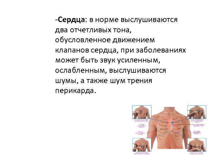 -Сердца: в норме выслушиваются два отчетливых тона, обусловленное движением клапанов сердца, при заболеваниях может