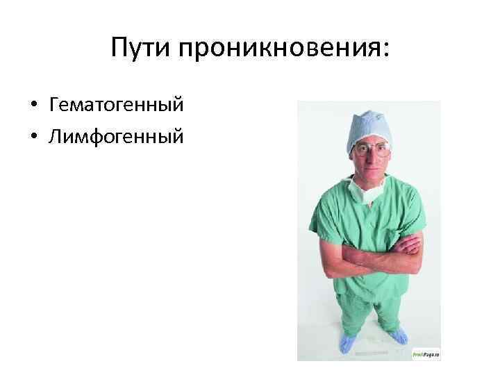 Пути проникновения: • Гематогенный • Лимфогенный 