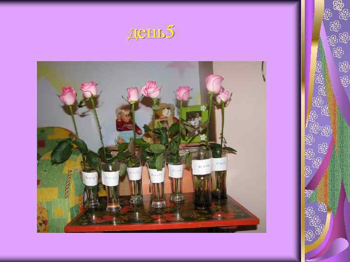 день5 