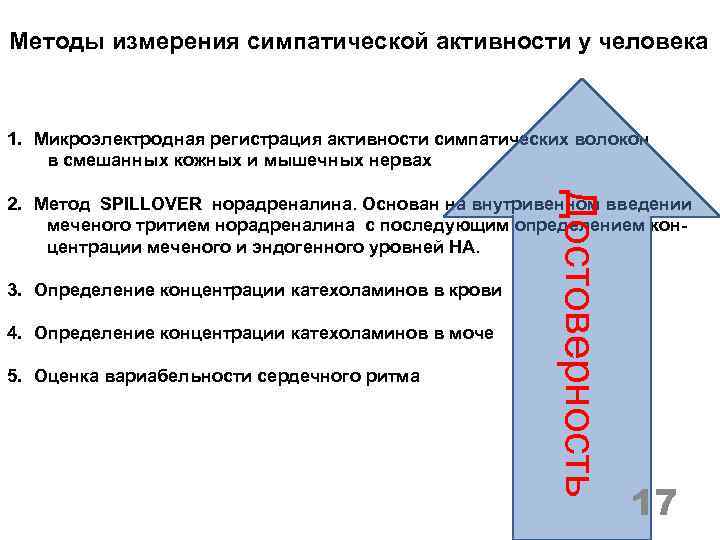 Методы измерения симпатической активности у человека 1. Микроэлектродная регистрация активности симпатических волокон в смешанных