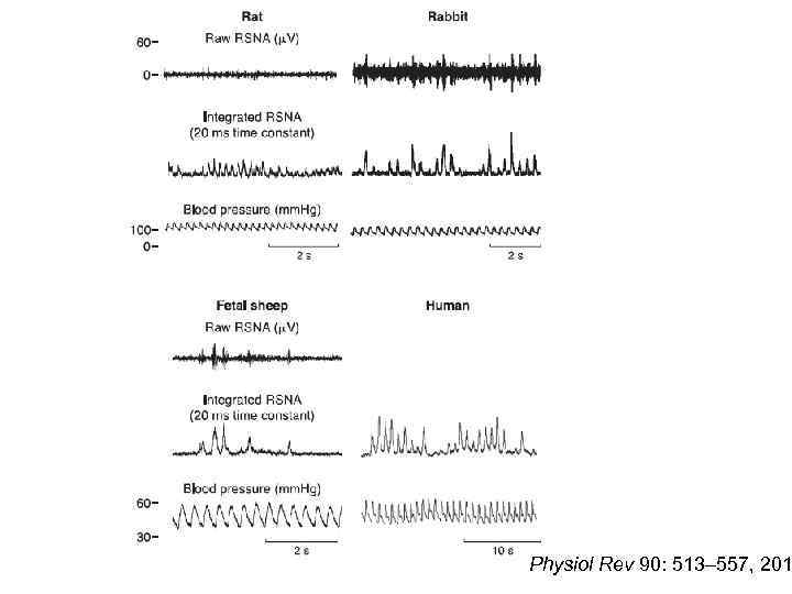 Physiol Rev 90: 513– 557, 201 