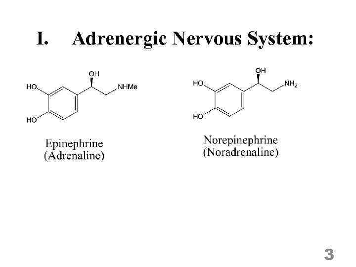 I. Adrenergic Nervous System: 3 