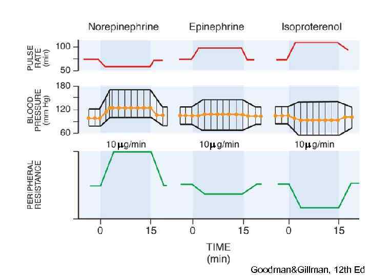 m m m Goodman&Gillman, 12 th Ed 