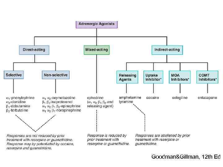 Goodman&Gillman, 12 th Ed 
