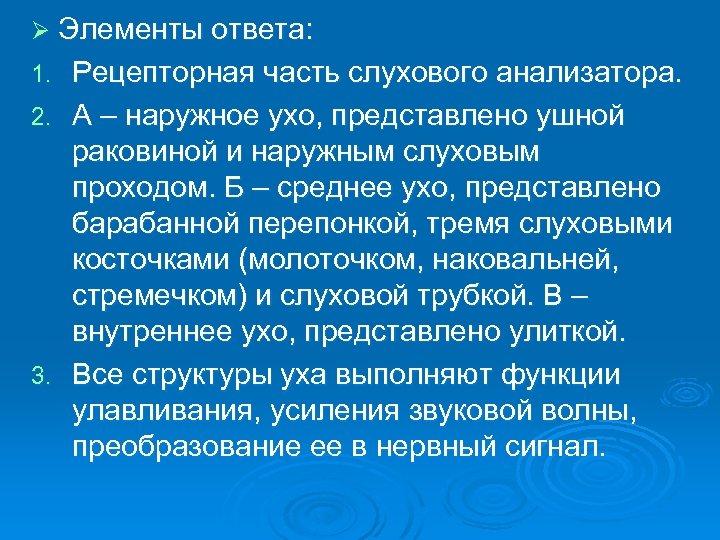 Ø Элементы ответа: Рецепторная часть слухового анализатора. 2. А – наружное ухо, представлено ушной