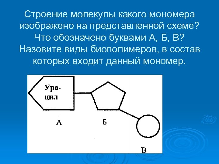 Модель какой молекула изображена на рисунке