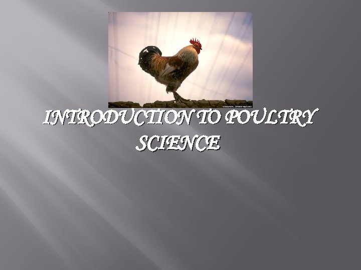 INTRODUCTION TO POULTRY SCIENCE 