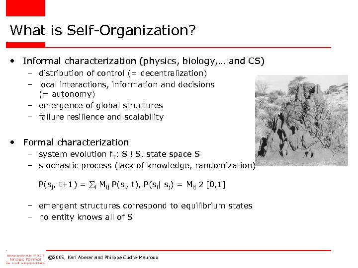 What is Self-Organization? • Informal characterization (physics, biology, … and CS) – distribution of