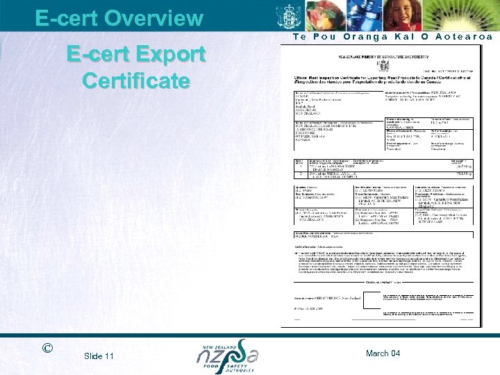 E-cert Overview E-cert Export Certificate © Slide 11 Te Pou Oranga Kai O Aotearoa