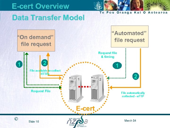 E-cert Overview Data Transfer Model Te Pou Oranga Kai O Aotearoa “Automated” file request