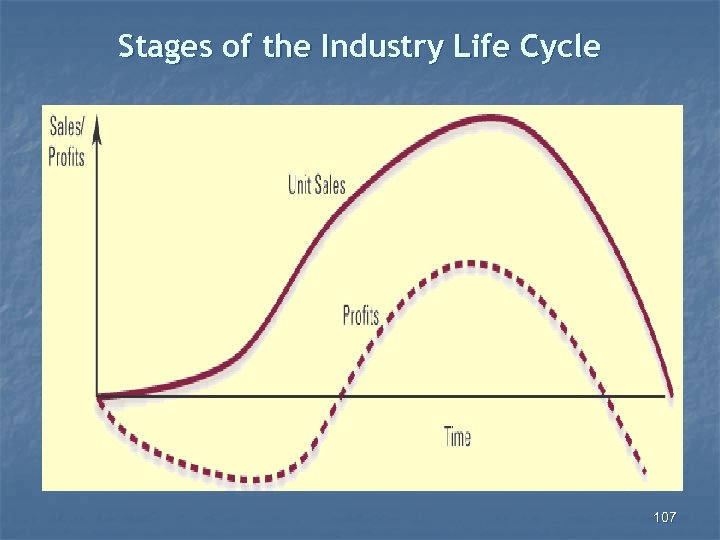 Stages of the Industry Life Cycle 107 