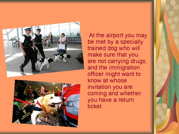 At the airport you may be met by a specially trained dog who will