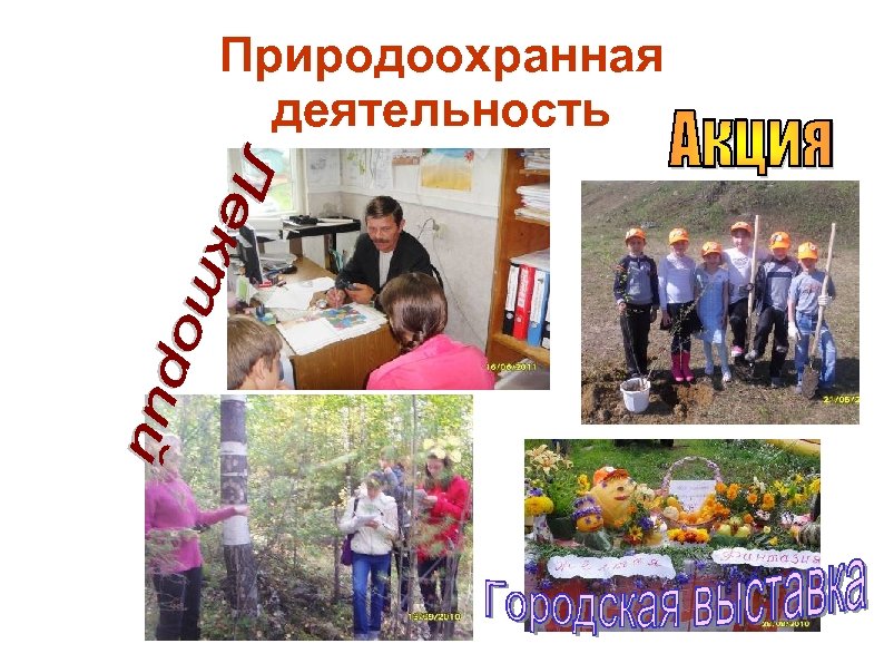 Природоохранная деятельность 