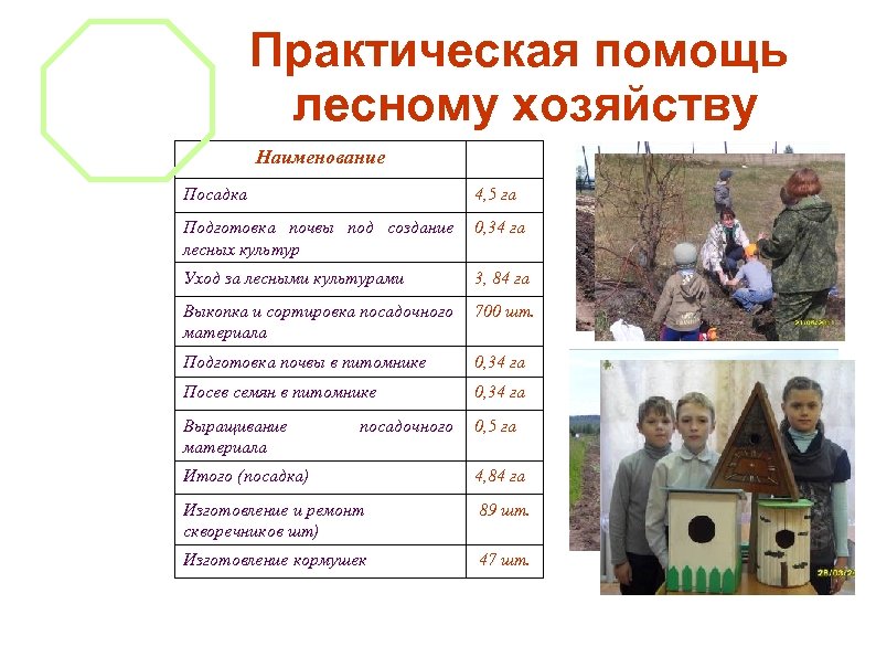 Практическая помощь лесному хозяйству Наименование Посадка 4, 5 га Подготовка почвы под создание лесных