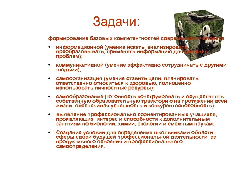 Задачи: формирование базовых компетентностей современного человека. • информационной (умение искать, анализировать, преобразовывать, применять информацию