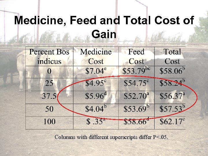 Medicine, Feed and Total Cost of Gain Columns with different superscripts differ P<. 05.