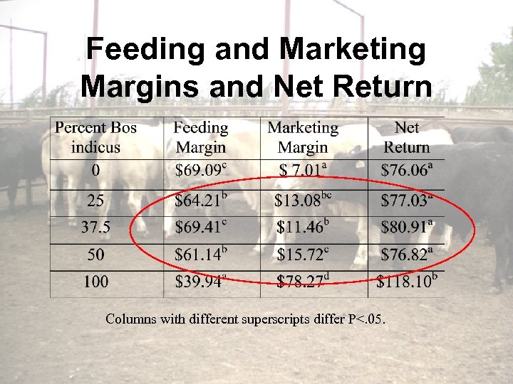 Feeding and Marketing Margins and Net Return Columns with different superscripts differ P<. 05.