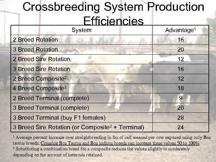 Crossbreeding System Production Efficiencies System Advantage 1 2 Breed Rotation 16 3 Breed Rotation