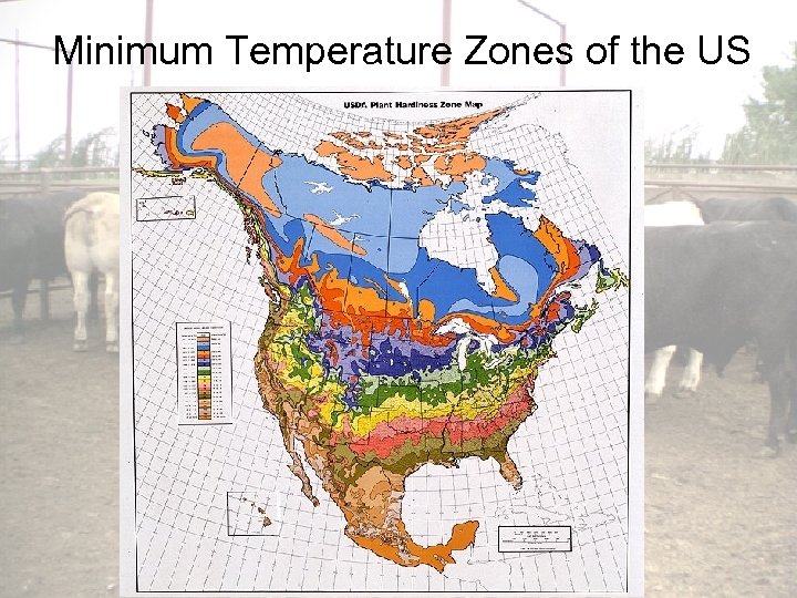 Minimum Temperature Zones of the US 