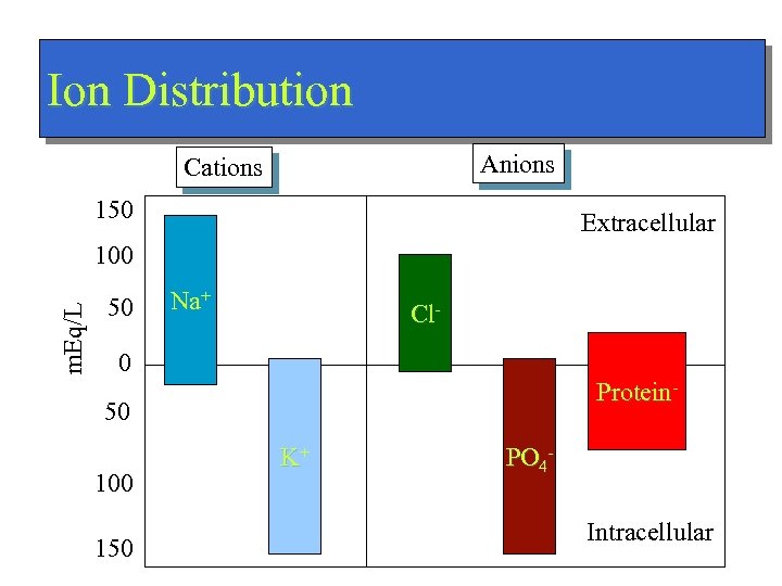 Ion Distribution Anions Cations 150 Extracellular m. Eq/L 100 50 Na+ Cl- 0 Protein-