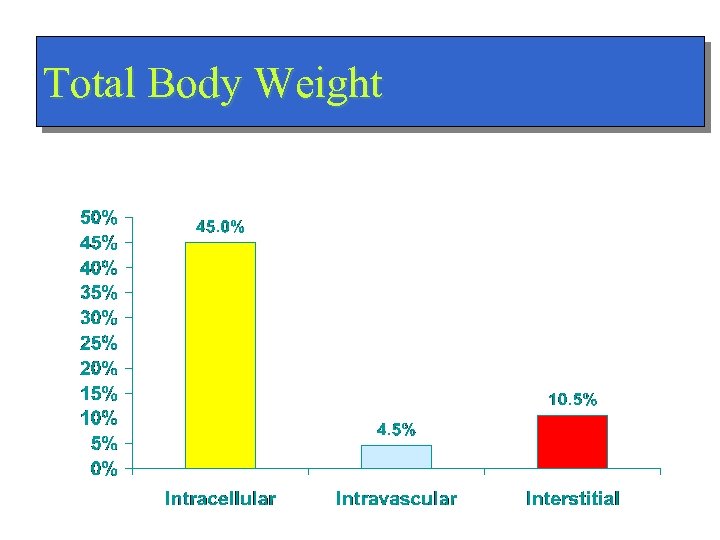 Total Body Weight 