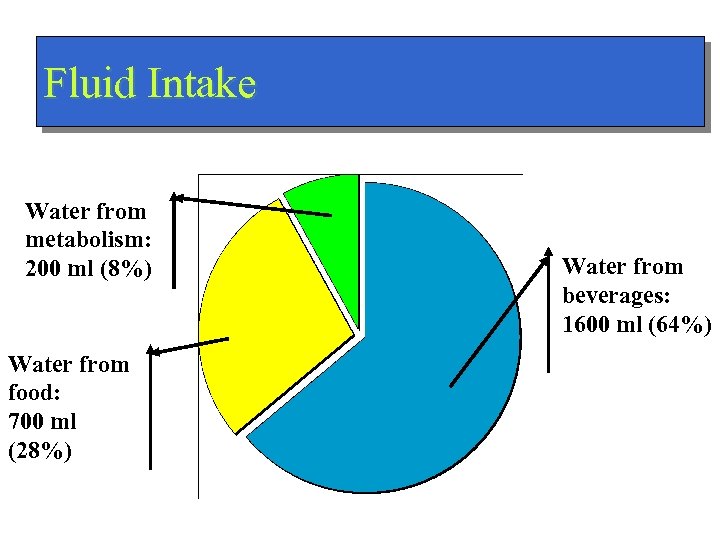 Fluid Intake Water from metabolism: 200 ml (8%) Water from food: 700 ml (28%)