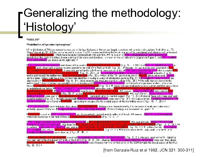 Generalizing the methodology: ‘Histology’ [from Gonzalo-Ruiz et al 1992, JCN 321: 300 -311] 