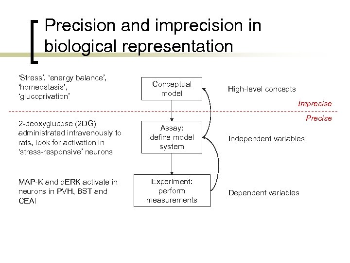 Precision and imprecision in biological representation ‘Stress’, ‘energy balance’, ‘homeostasis’, ‘glucoprivation’ Conceptual model High-level
