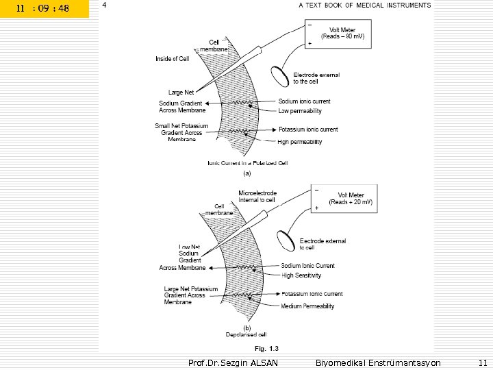Prof. Dr. Sezgin ALSAN Biyomedikal Enstrümantasyon 11 