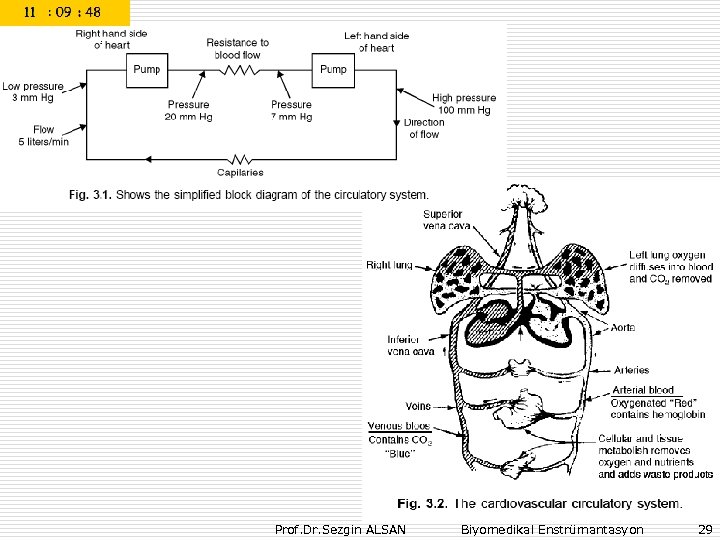 Prof. Dr. Sezgin ALSAN Biyomedikal Enstrümantasyon 29 