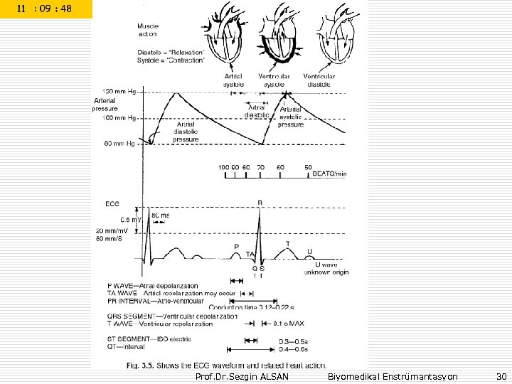 Prof. Dr. Sezgin ALSAN Biyomedikal Enstrümantasyon 30 